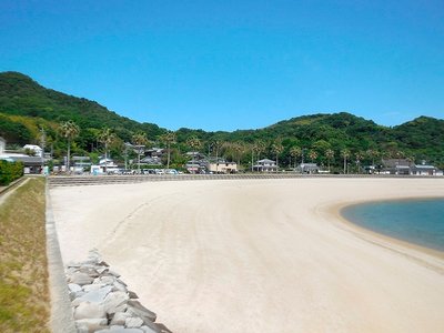 🏖️ 하카타 비치